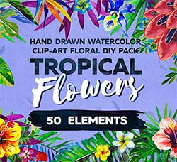 30张高清背景透明的北欧风热带花卉图片：Watercolor Tropical Flowers